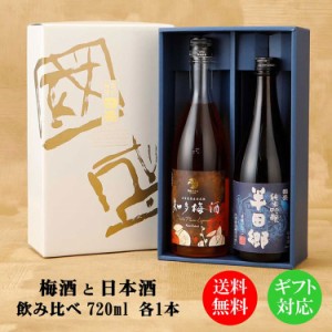 【日本酒 お歳暮 蔵元國盛ギフト】愛知の地酒 純米吟醸 梅酒 720ml 飲み比べ 2本セット  H-U  / 贈答用 日本酒 リキュール  梅酒 國盛 中