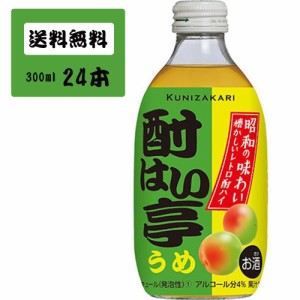 【ケース販売】酎はい亭 うめ 300ml 1ケース(24本セット) / 國盛 中埜酒造 リキュール チューハイ うめ クラフト 果実酒 お酒 酒 まとめ