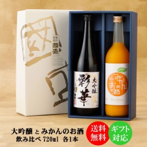 【送料無料】【蔵元直送】大吟醸 と 果実リキュール 720ml 飲み比べ 2本セット SA-M / フルリア fruilia 贈答用 日本酒  果実酒 國盛 中