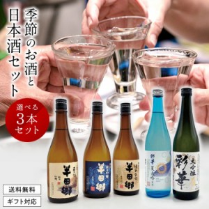 【送料無料】 季節のお酒と 選べる日本酒 720ml × 3本セット／ 日本酒 飲み比べ 飲み比べ 酒 ギフト 贈答 贈り物 プレゼント 純米大吟醸