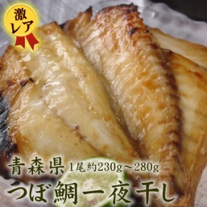 【絶品！！激レア 高級魚 旨さ別格】つぼ鯛 干物 1尾（約230g〜280g ）開き干し 一夜干し ツボダイ 干物 つぼだい