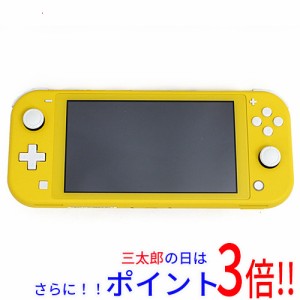 好評低価中古品Switchライト本体ターコイズブルー＋ケース＆カバー、充電器込み箱なし Nintendo Switch