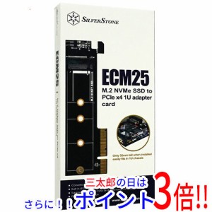 【新品即納】送料無料 SILVERSTONE インターフェイスカード SST-ECM25 [M.2]