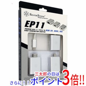 【新品即納】送料無料 SILVERSTONE 変換アダプタ SST-EP11S シルバー