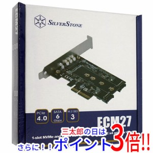 【新品即納】送料無料 SILVERSTONE インターフェイスカード SST-ECM27 [M.2]