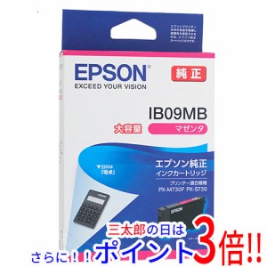 【新品即納】送料無料 EPSON純正品 インクカートリッジ IB09MB マゼンタ 大容量