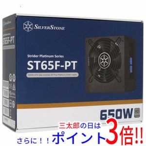 【新品即納】送料無料 SILVERSTONE製 PC電源 SST-ST65F-PT-Rev 650W