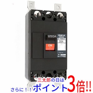 【新品即納】送料無料 テンパール工業 配線用遮断器 B402EA25