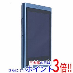 ソニー sony ウォークマン nw a5の通販｜au PAY マーケット