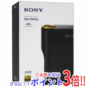 sony ウォークマン 中古の通販｜au PAY マーケット