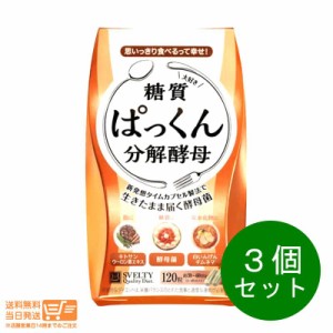 お得な３個セット スベルティ ぱっくん分解酵母 120粒 追跡可能クリックポスト発送