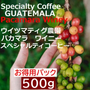 スペシャルティコーヒー　グアテマラ ウイツマティグ農園　パカマラ　ワイニー  500g |シングルオリジン　コーヒー豆