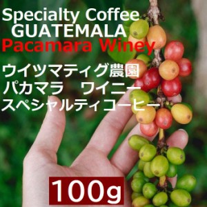 スペシャルティコーヒー　グアテマラ ウイツマティグ農園　パカマラ　ワイニー  100g |シングルオリジン　コーヒー豆