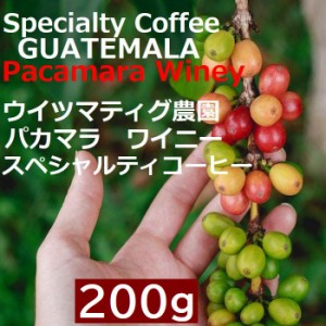 スペシャルティコーヒー　グアテマラ ウイツマティグ農園　パカマラ　ワイニー  200g |シングルオリジン　コーヒー豆