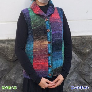 野呂英作のくれよんで編むアーガイル式のカウチン風のベスト 毛糸セット 無料編み図 編みものキット