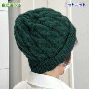 毛糸 タータンで編むなわ編み模様のニット帽 セット 帽子 ニットキャップ 手編みキット ダイヤ毛糸 無料編み図 編み物キット ニットキッ