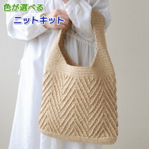 ●編み針セット● 毛糸 夏糸 エコアンダリヤで編むジグザグ模様のバッグ 手編みキット 無料編み図 編み物キット