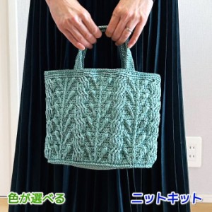 毛糸 エコアンダリヤで編むかぎ針編みのアラン模様が素敵なバッグ 手編みキット 無料編み図 編み物キット セット