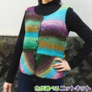 ●編み針セット●野呂英作のくれよんで編む裾の模様が面白いベスト 手編みキット 無料編み図