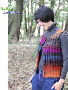 ●編み針セット●野呂英作のくれよんで編む地模様のベスト 毛糸セット 編み図