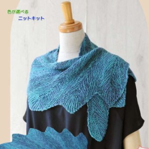 コットン１００％のメヒコで編むフェザーショール 毛糸セット ハマナカ・リッチモア 編みものキット 無料編み図