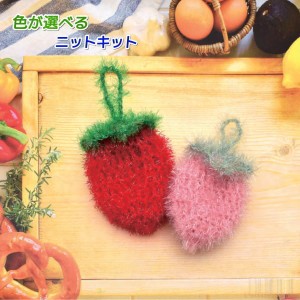  ハイバブルで編むいちごのエコたわし 毛糸セット エコタワシ 韓国製 内藤商事 ナスカ 無料編み図 編みものキット