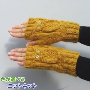 ●編み針セット●ドミナノームで編むフクロウの指なし手袋 毛糸セット ダイヤモンド毛糸 編み図