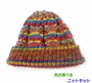 オパール毛糸で編むアラン模様の帽子 毛糸セット ニット帽 Opal毛糸 編み物キット 無料編み図