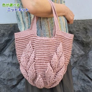 ●編み針セット● エコアンダリヤで編むリーフ柄のバッグ 毛糸セット ハマナカ 編み図