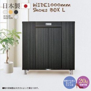 100Ｌ シューズ ＢＯＸ シュート 10-1 玄関収納 下駄箱 シューズボックス 幅100 ロータイプ げた箱 20足収納 完成品 日本製