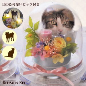 お供え花 仏花 プリザーブドフラワー ペットフルール／送料無料 メッセージカード付き ライト LED 盆提灯 ろうそく キャンドル お悔やみ 