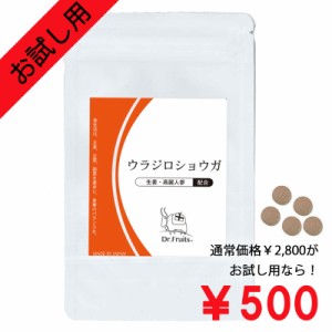 特別価格 500円 賞味期限2024年4月末 ウラジロショウガサプリメント ウラジロガシ 生姜 ヒハツ 高麗人参 黒高麗人参 温活 体温