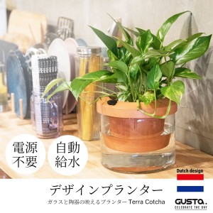 植木鉢 プランター おしゃれ 自動給水 観葉植物 欧州 ブランド GUSTA Terra Cotcha