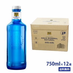 ソランデカブラス【750ml×12本(1ケース) 瓶/ビン　ミネラルウォーター】SOLAN DE CABRAS/ソラン・デ・カブラス/中硬水/青いボトル/スペ