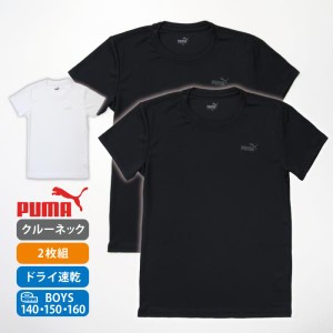 ２枚組 プーマ ｐｕｍａ Ｔシャツ 無地 インナー キッズ 肌着 着替え ＤＲＹ 吸汗速乾 子供肌着 部活 運動 スポーツ ワンポイント ロゴ 