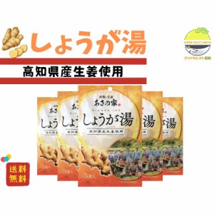 高知・生姜 あさの家 しょうが湯(5P) 75g×5個