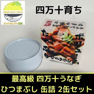缶詰 うなぎ 鰻 国産 最高級 四万十うなぎ ひつまぶし 2缶セット 送料無料 高知 人気