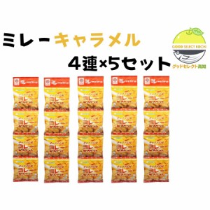 野村 のむら 4連ミレービスケット キャラメル味 30g×4連×5袋