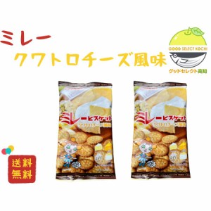 野村 ミレークワトロチーズ風味120g×2袋