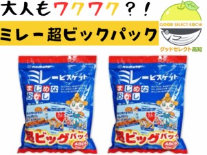 野村煎豆加工店 ミレービスケット 超ビッグパック 480g×2袋