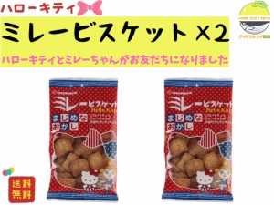 野村煎豆加工店 ハローキティ まじめなおかし ミレービスケット100g×2袋 ポイント消化