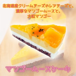 マンゴームース　アイスケーキ　70g 6個　冷凍ケーキ　北海道産クリームチーズのレアチーズ