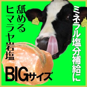 アニマルソルト　5-7kg　家畜用ヒマラヤ岩塩  【特大】【お徳用サイズ】 ロープ付き