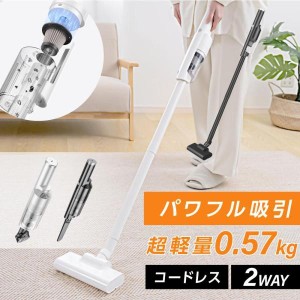 掃除機 吸引力 最強の通販｜au PAY マーケット