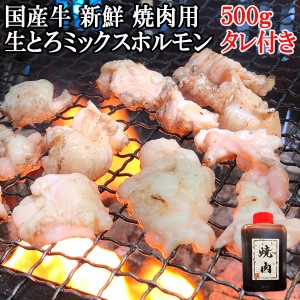 新鮮 国産牛 ホルモン 焼肉 500g 特製焼肉たれ付き 送料無料 焼き肉 ホルモンミックス ミックスホルモン セット ホルモン焼き ほるもん 