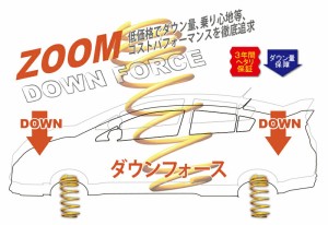 [ZOOM]8KCAB アウディA4(B8 1.8)用ダウンサス