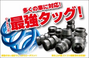 [ESPELIR]NZ12 キューブ(4WD/1.5L)用スーパーダウンサス+バンプラバー