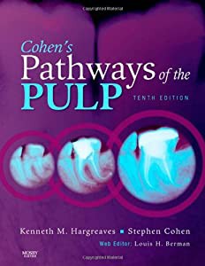 Cohen's Pathways of the Pulp Expert Consult  10e(中古品)