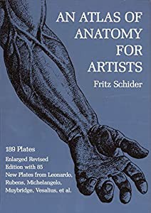 An Atlas of Anatomy for Artists (Dover Anatomy for Artists)(中古品)