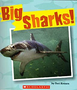 Big Sharks!(中古品)